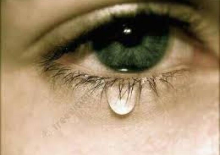 Tooty Huye Vishwas Ki Dard Bhari Shayari