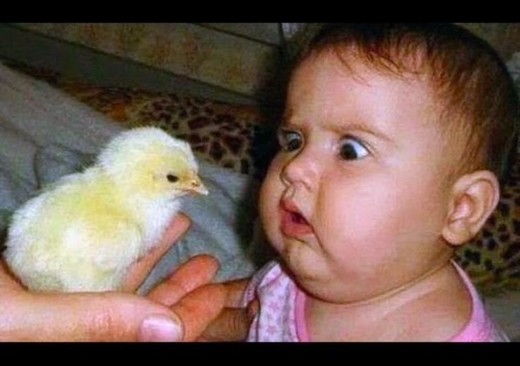 Best Comedy Love Shayari 2025