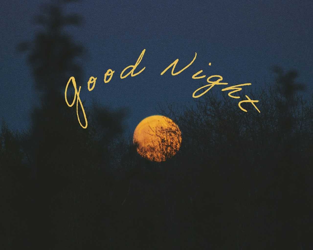 Good Night Shayari In Hindi