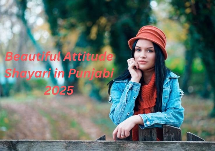 50+ Beautiful Attitude Shayari in Punjabi 2025