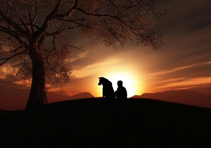 Best Chand Shayari In Hindi