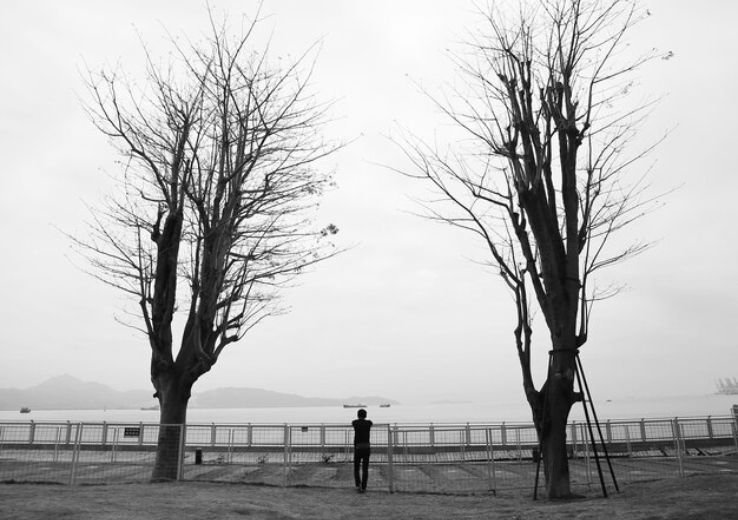 Sad Shayari in English 2 Lines