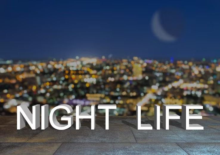 Instagram Good Night Shayari